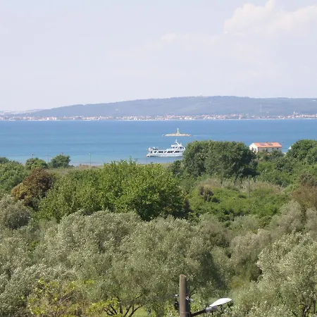 Pasman 14788c Apartment
