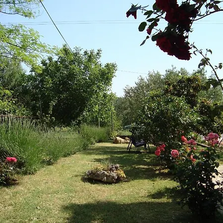 Apartamento Pasman 14788c