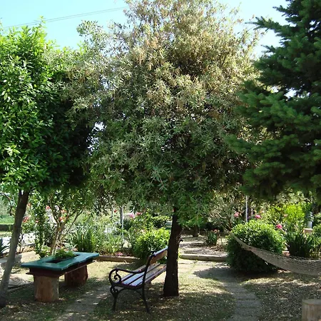 Pasman 14788c Mali Pašman